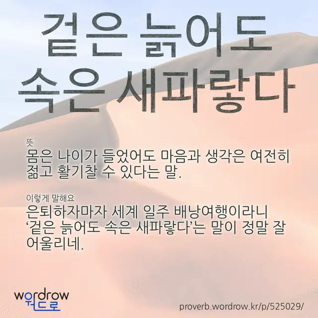 “겉은 늙어도 속은 새파랗다” 글씨와 뜻·예문이 완성된 속담 영상 포스터