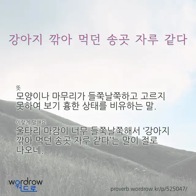 “강아지 깎아 먹던 송곳 자루 같다” 글씨와 뜻·예문이 완성된 속담 영상 포스터