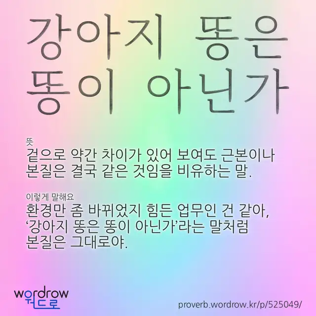 “강아지 똥은 똥이 아닌가” 글씨와 뜻·예문이 완성된 속담 영상 포스터