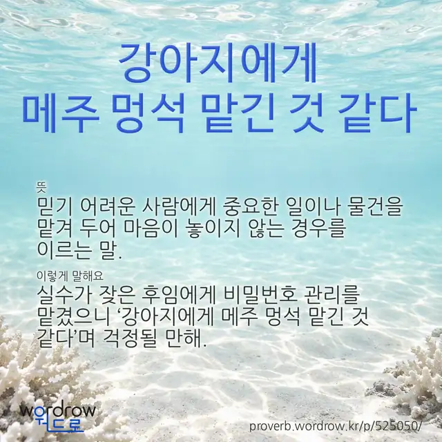 “강아지에게 메주 멍석 맡긴 것 같다” 글씨와 뜻·예문이 완성된 속담 영상 포스터