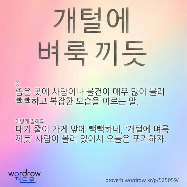 “개털에 벼룩 끼듯” 글씨와 뜻·예문이 완성된 속담 영상 포스터