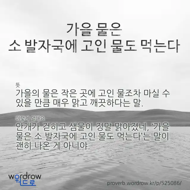 “가을 물은 소 발자국에 고인 물도 먹는다” 글씨와 뜻·예문이 완성된 속담 영상 포스터