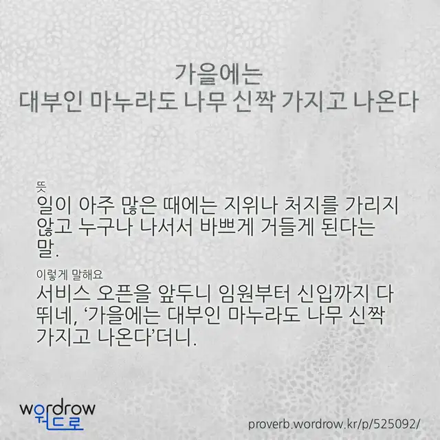 “가을에는 대부인 마누라도 나무 신짝 가지고 나온다” 글씨와 뜻·예문이 완성된 속담 영상 포스터