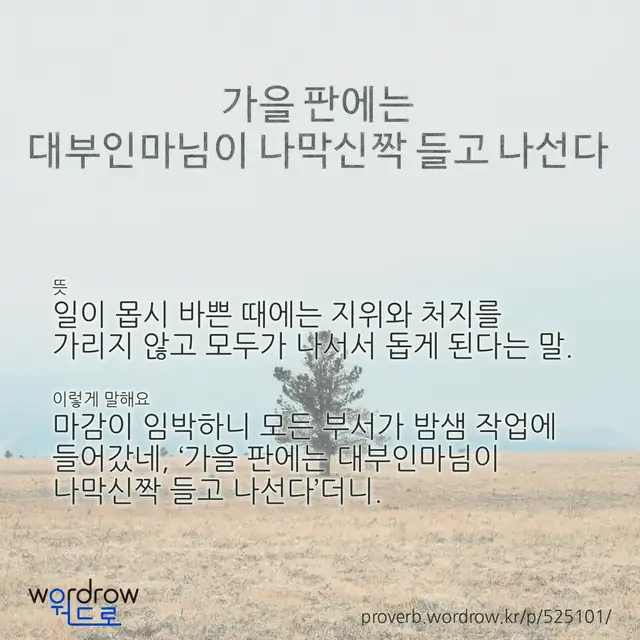 “가을 판에는 대부인마님이 나막신짝 들고 나선다” 글씨와 뜻·예문이 완성된 속담 영상 포스터