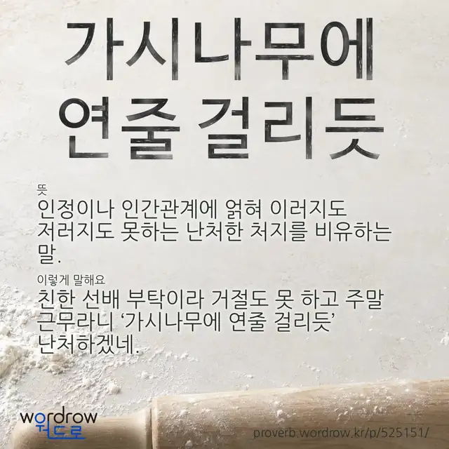 “가시나무에 연줄 걸리듯” 글씨와 뜻·예문이 완성된 속담 영상 포스터