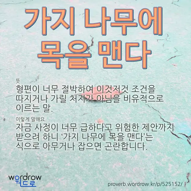 “가지 나무에 목을 맨다” 글씨와 뜻·예문이 완성된 속담 영상 포스터