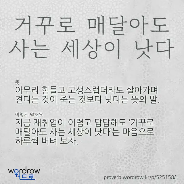“거꾸로 매달아도 사는 세상이 낫다” 글씨와 뜻·예문이 완성된 속담 영상 포스터