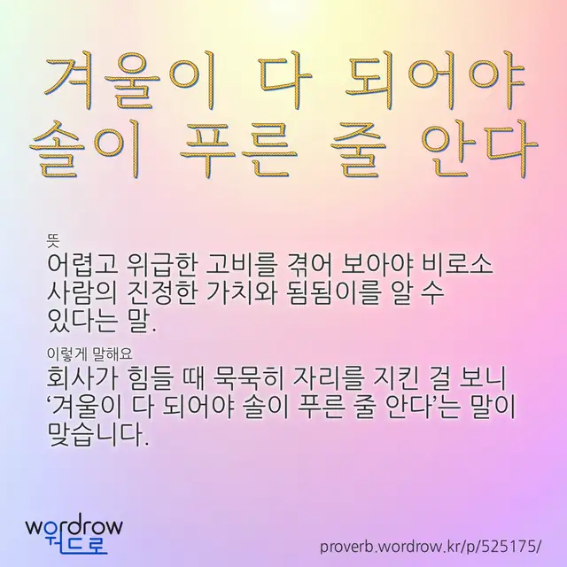 “겨울이 다 되어야 솔이 푸른 줄 안다” 글씨와 뜻·예문이 완성된 속담 영상 포스터