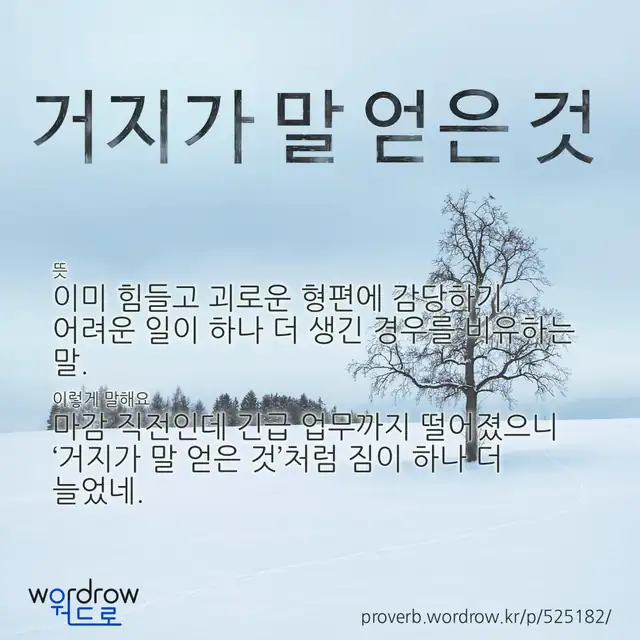 “거지가 말 얻은 것” 글씨와 뜻·예문이 완성된 속담 영상 포스터