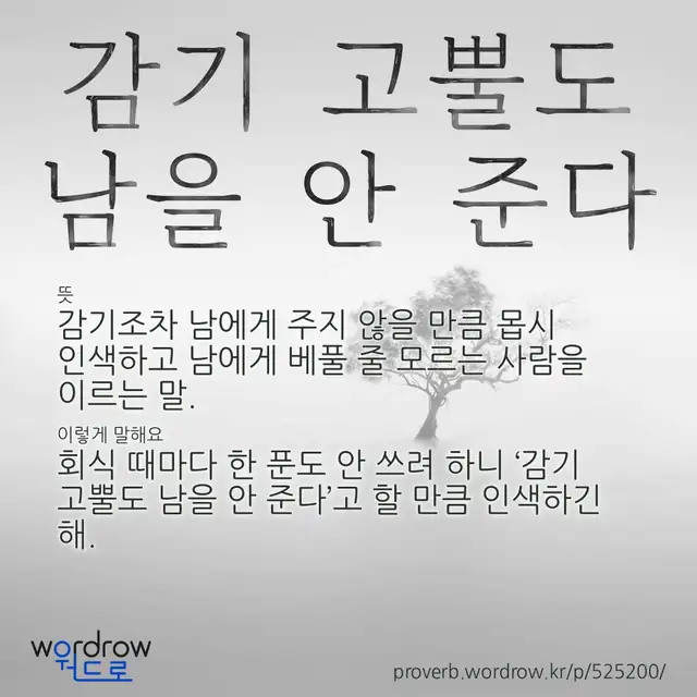 “감기 고뿔도 남을 안 준다” 글씨와 뜻·예문이 완성된 속담 영상 포스터
