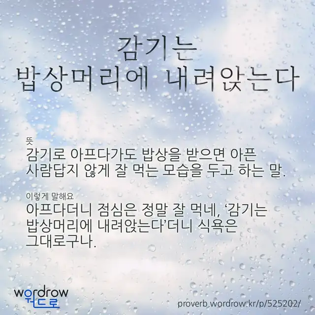 “감기는 밥상머리에 내려앉는다” 글씨와 뜻·예문이 완성된 속담 영상 포스터