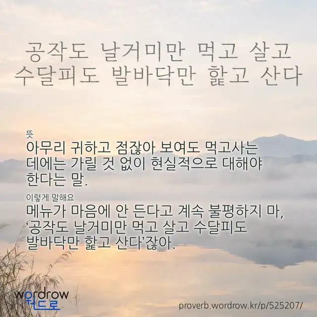 “공작도 날거미만 먹고 살고 수달피도 발바닥만 핥고 산다” 글씨와 뜻·예문이 완성된 속담 영상 포스터
