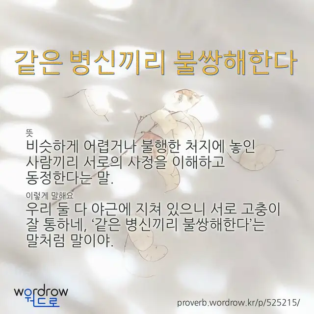 “같은 병신끼리 불쌍해한다” 글씨와 뜻·예문이 완성된 속담 영상 포스터