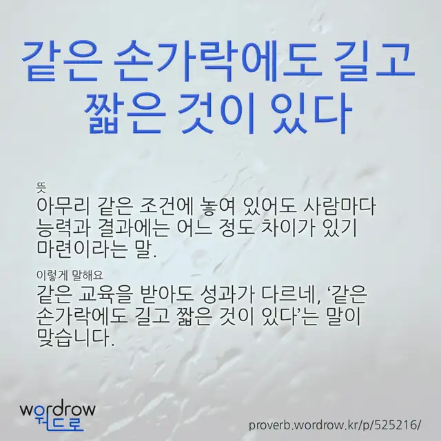 “같은 손가락에도 길고 짧은 것이 있다” 글씨와 뜻·예문이 완성된 속담 영상 포스터