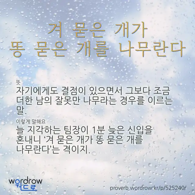“겨 묻은 개가 똥 묻은 개를 나무란다” 글씨와 뜻·예문이 완성된 속담 영상 포스터