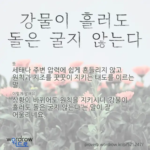 “강물이 흘러도 돌은 굴지 않는다” 글씨와 뜻·예문이 완성된 속담 영상 포스터