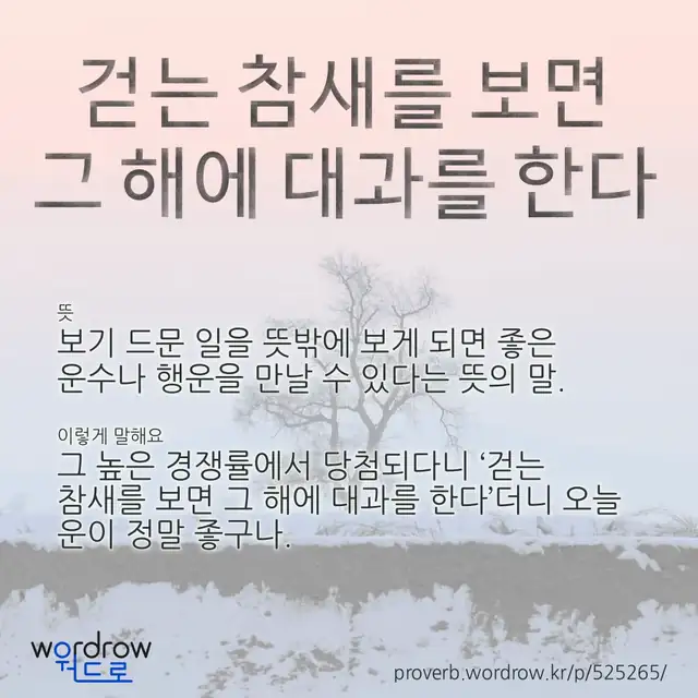 “걷는 참새를 보면 그 해에 대과를 한다” 글씨와 뜻·예문이 완성된 속담 영상 포스터