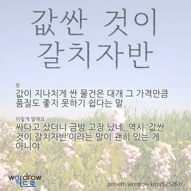 “값싼 것이 갈치자반” 글씨와 뜻·예문이 완성된 속담 영상 포스터