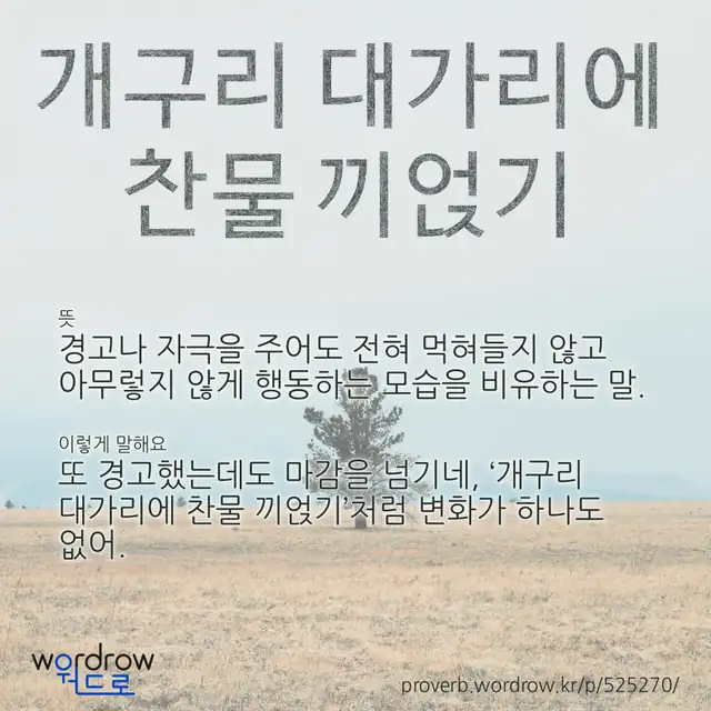 “개구리 대가리에 찬물 끼얹기” 글씨와 뜻·예문이 완성된 속담 영상 포스터