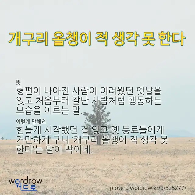 “개구리 올챙이 적 생각 못 한다” 글씨와 뜻·예문이 완성된 속담 영상 포스터