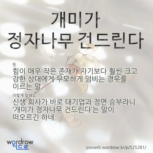 “개미가 정자나무 건드린다” 글씨와 뜻·예문이 완성된 속담 영상 포스터