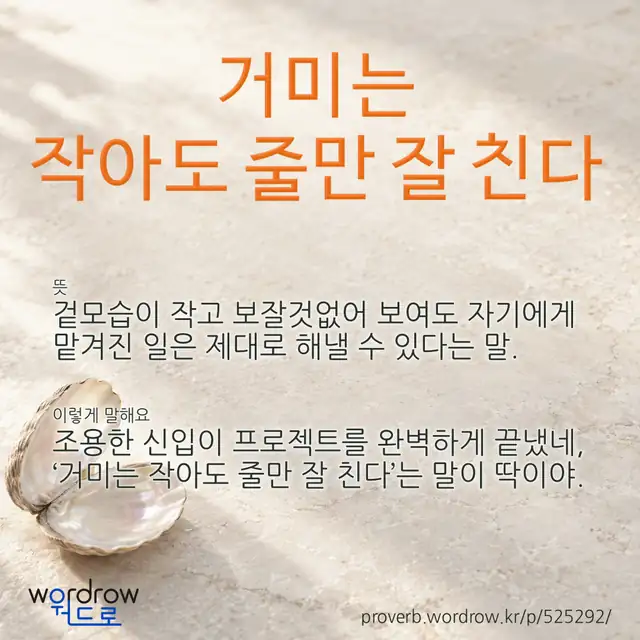 “거미는 작아도 줄만 잘 친다” 글씨와 뜻·예문이 완성된 속담 영상 포스터