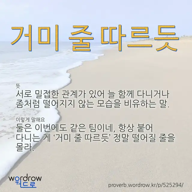 “거미 줄 따르듯” 글씨와 뜻·예문이 완성된 속담 영상 포스터