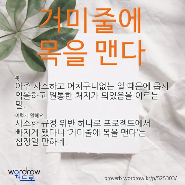 “거미줄에 목을 맨다” 글씨와 뜻·예문이 완성된 속담 영상 포스터