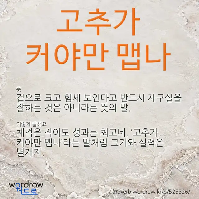 “고추가 커야만 맵나” 글씨와 뜻·예문이 완성된 속담 영상 포스터