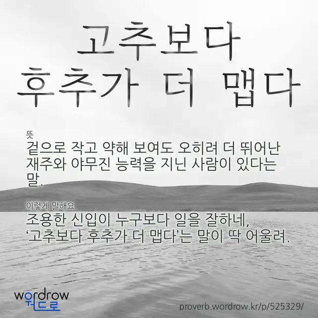 “고추보다 후추가 더 맵다” 글씨와 뜻·예문이 완성된 속담 영상 포스터