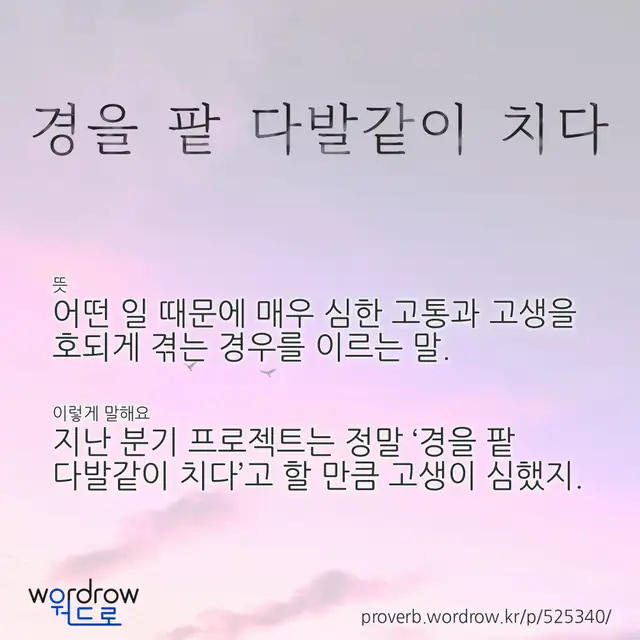 “경을 팥 다발같이 치다” 글씨와 뜻·예문이 완성된 속담 영상 포스터