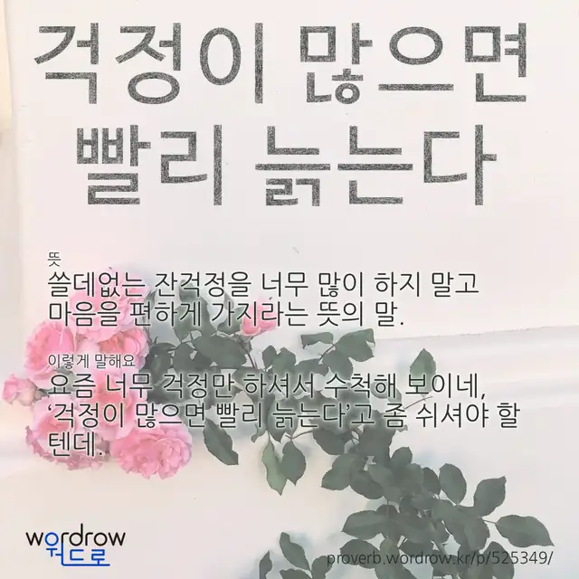 “걱정이 많으면 빨리 늙는다” 글씨와 뜻·예문이 완성된 속담 영상 포스터