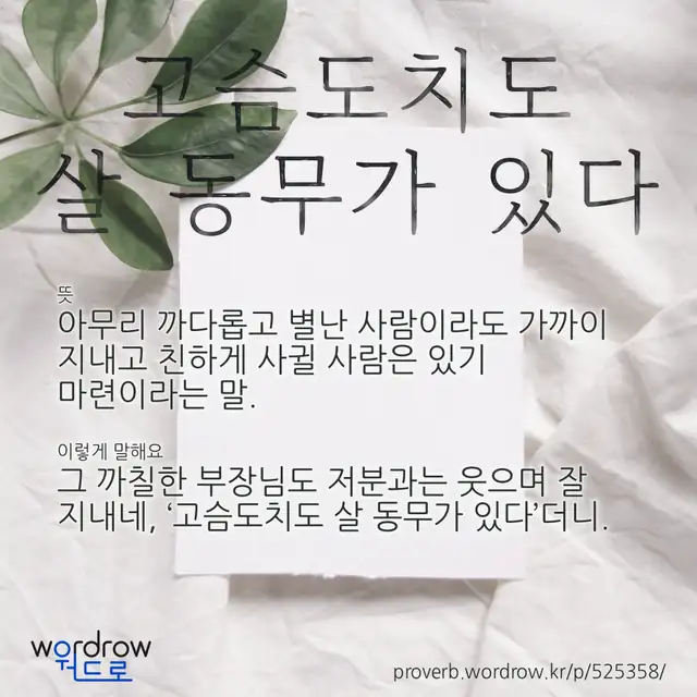 “고슴도치도 살 동무가 있다” 글씨와 뜻·예문이 완성된 속담 영상 포스터