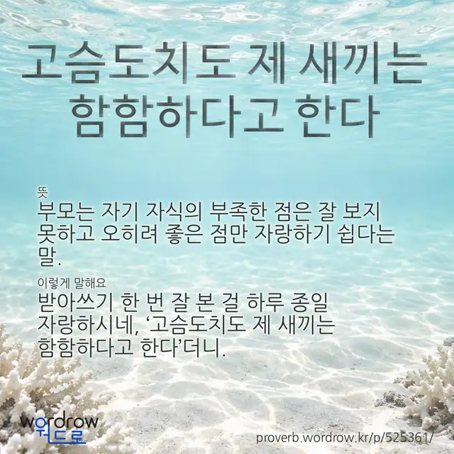“고슴도치도 제 새끼는 함함하다고 한다” 글씨와 뜻·예문이 완성된 속담 영상 포스터