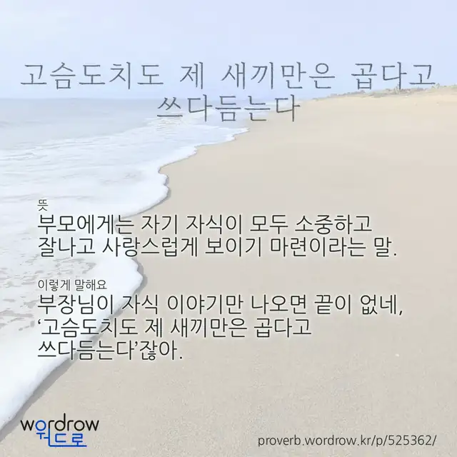 “고슴도치도 제 새끼만은 곱다고 쓰다듬는다” 글씨와 뜻·예문이 완성된 속담 영상 포스터