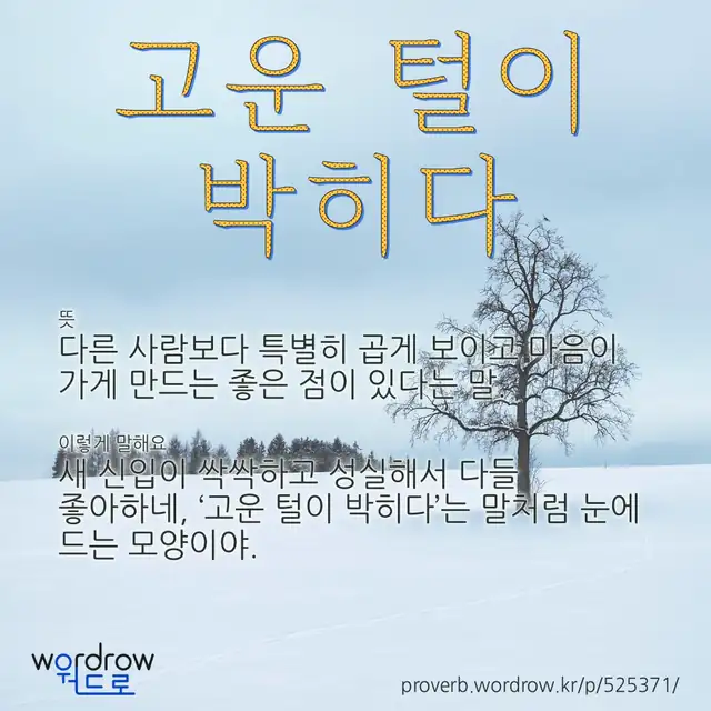 “고운 털이 박히다” 글씨와 뜻·예문이 완성된 속담 영상 포스터