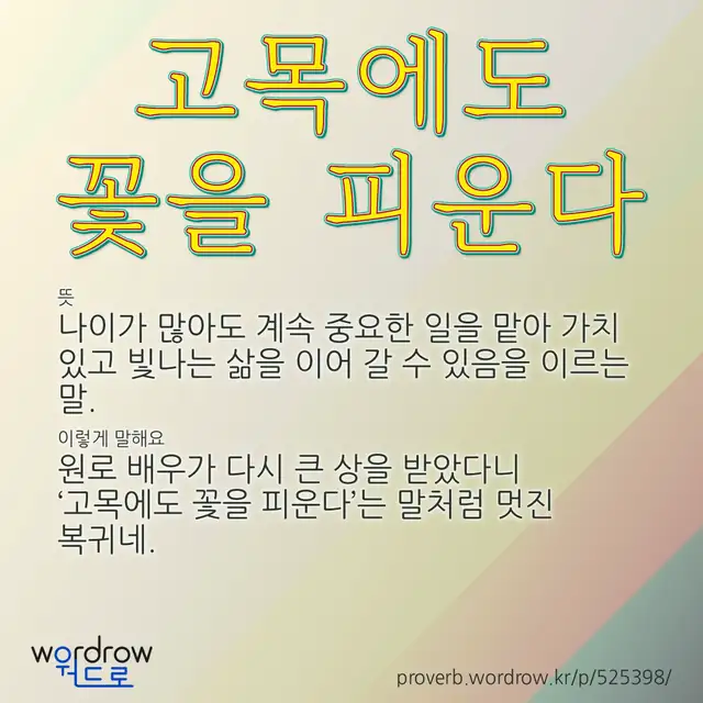 “고목에도 꽃을 피운다” 글씨와 뜻·예문이 완성된 속담 영상 포스터