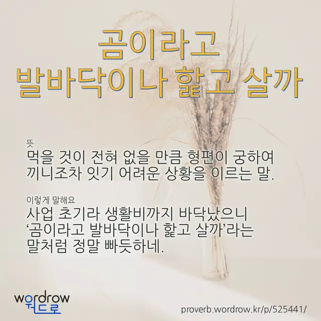 “곰이라고 발바닥이나 핥고 살까” 글씨와 뜻·예문이 완성된 속담 영상 포스터