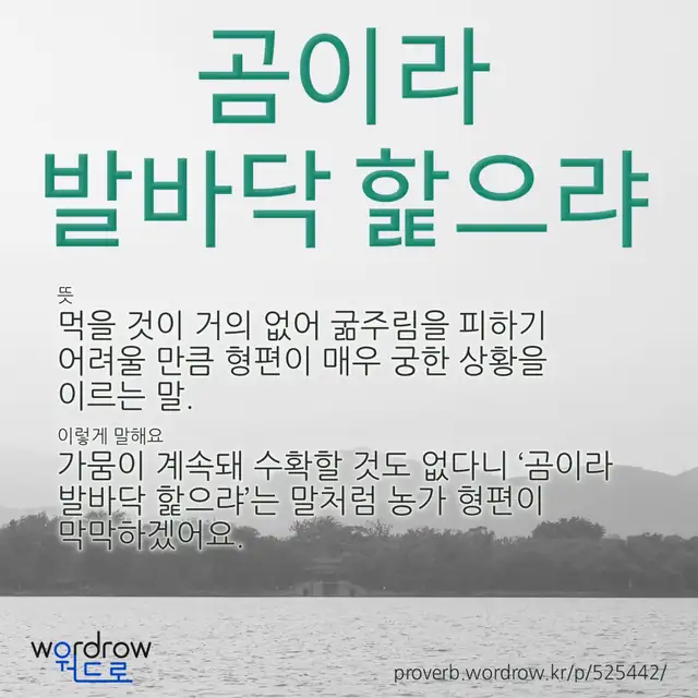 “곰이라 발바닥 핥으랴” 글씨와 뜻·예문이 완성된 속담 영상 포스터