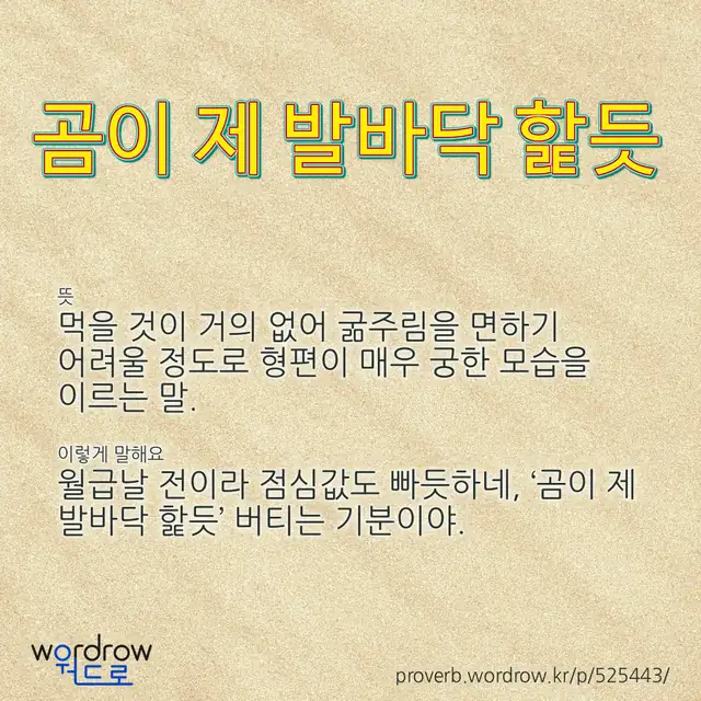 “곰이 제 발바닥 핥듯” 글씨와 뜻·예문이 완성된 속담 영상 포스터