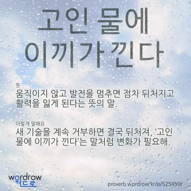 “고인 물에 이끼가 낀다” 글씨와 뜻·예문이 완성된 속담 영상 포스터