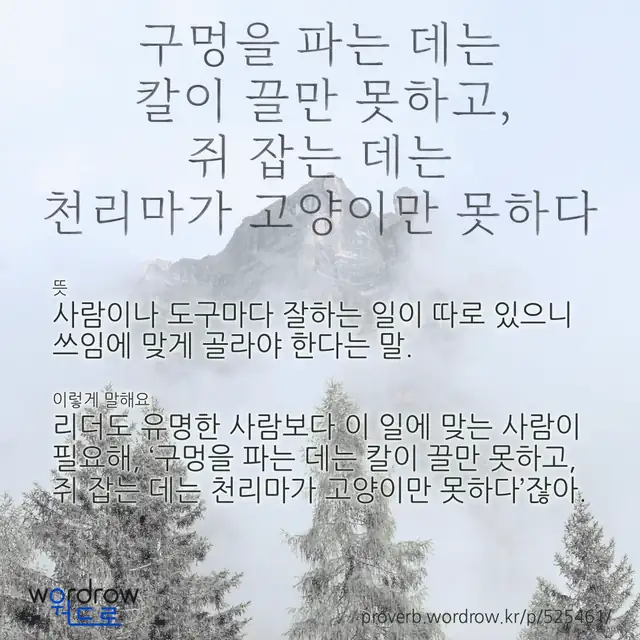 “구멍을 파는 데는 칼이 끌만 못하고, 쥐 잡는 데는 천리마가 고양이만 못하다” 글씨와 뜻·예문이 완성된 속담 영상 포스터