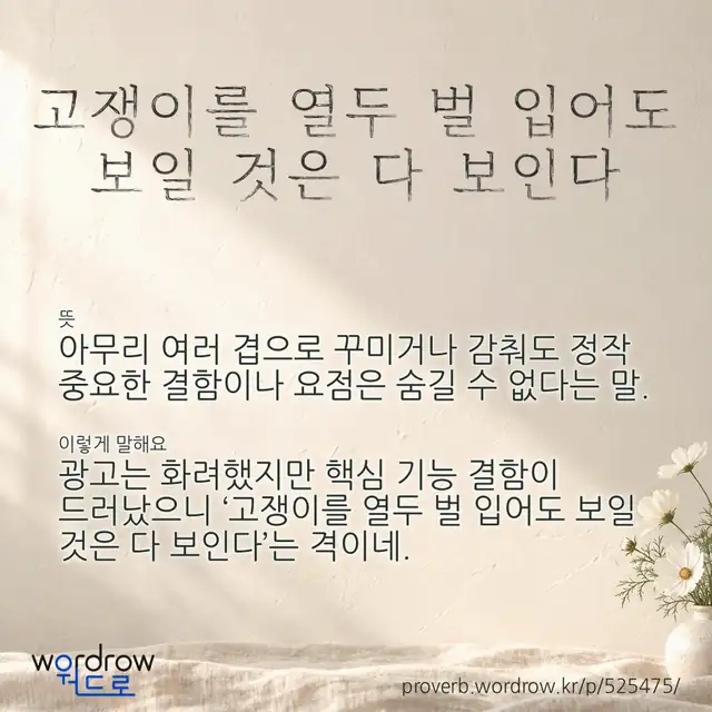 “고쟁이를 열두 벌 입어도 보일 것은 다 보인다” 글씨와 뜻·예문이 완성된 속담 영상 포스터