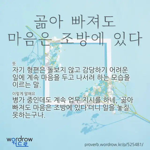“곪아 빠져도 마음은 조방에 있다” 글씨와 뜻·예문이 완성된 속담 영상 포스터