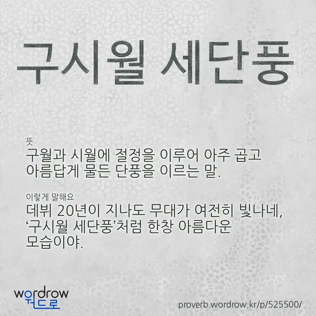 “구시월 세단풍” 글씨와 뜻·예문이 완성된 속담 영상 포스터