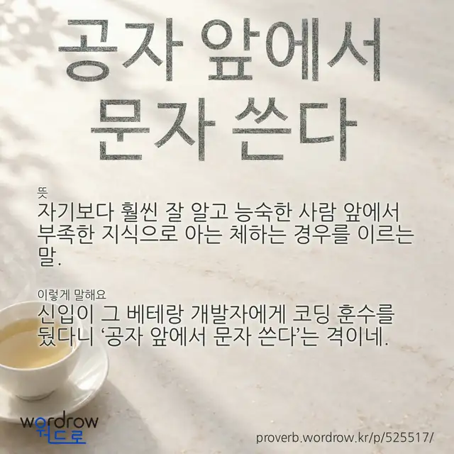 “공자 앞에서 문자 쓴다” 글씨와 뜻·예문이 완성된 속담 영상 포스터