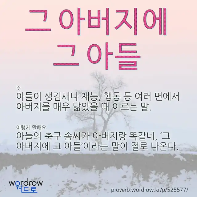“그 아버지에 그 아들” 글씨와 뜻·예문이 완성된 속담 영상 포스터