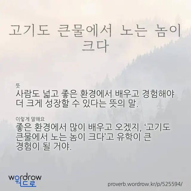 “고기도 큰물에서 노는 놈이 크다” 글씨와 뜻·예문이 완성된 속담 영상 포스터