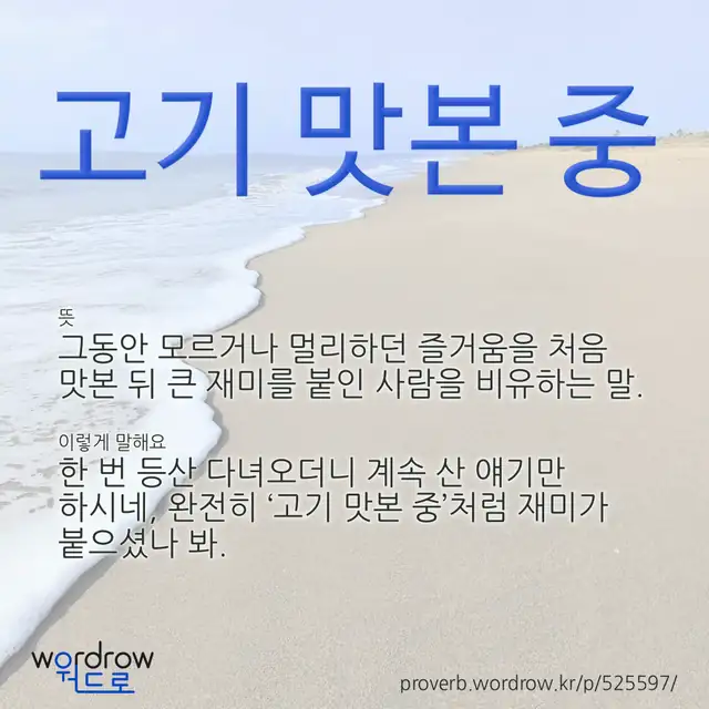 “고기 맛본 중” 글씨와 뜻·예문이 완성된 속담 영상 포스터