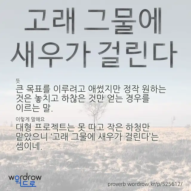 “고래 그물에 새우가 걸린다” 글씨와 뜻·예문이 완성된 속담 영상 포스터